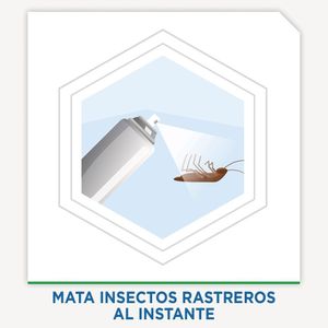 Insecticida Raid Aerosol Mata Cucarachas 285ml