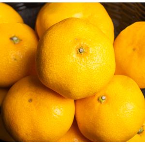 Mandarina Blanca