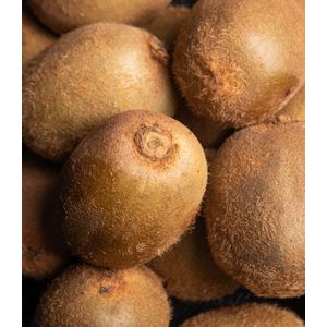 Kiwi X Und