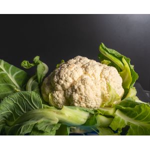 Coliflor