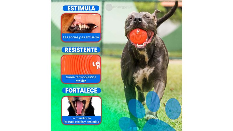 Pato de Goma Antisarro Juguete Interactivo Perros Peq y Medianos Verde