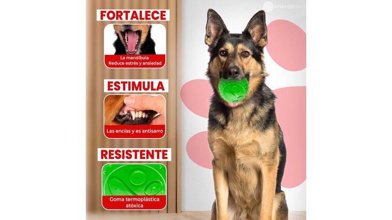 Eco Porta Bolsas para Perro en Goma Termoplástica Atoxica Verde