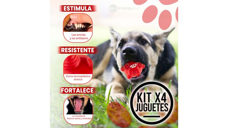 Kit X4 Juguetes para Perros Medianos: Diversión Garantizada