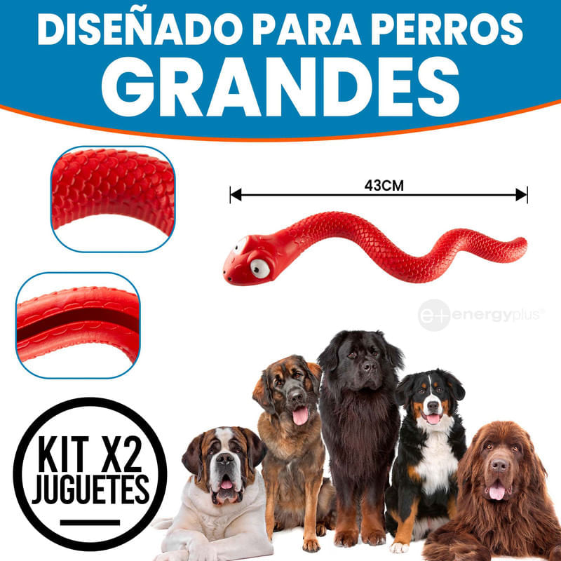 Kit de red para perros