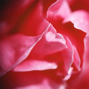 Ambientador Glade en Gel Lata Alegria Floral y Frutos Rojos 70gr