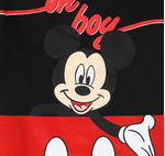 image-aa5cab3a3d554c3996bfeeac3285f5d8
