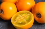 DSC_6190--1-