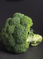 DSC_9870--1-
