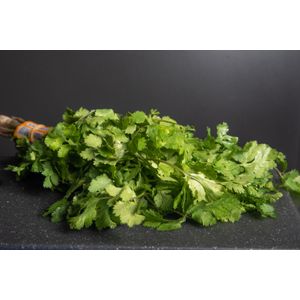Cilantro Criollo 50 G
