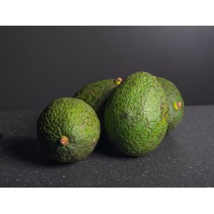 Aguacate Hass