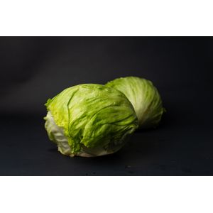Lechuga Batavia