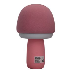 Karaoke Portatil con Luz y Radio