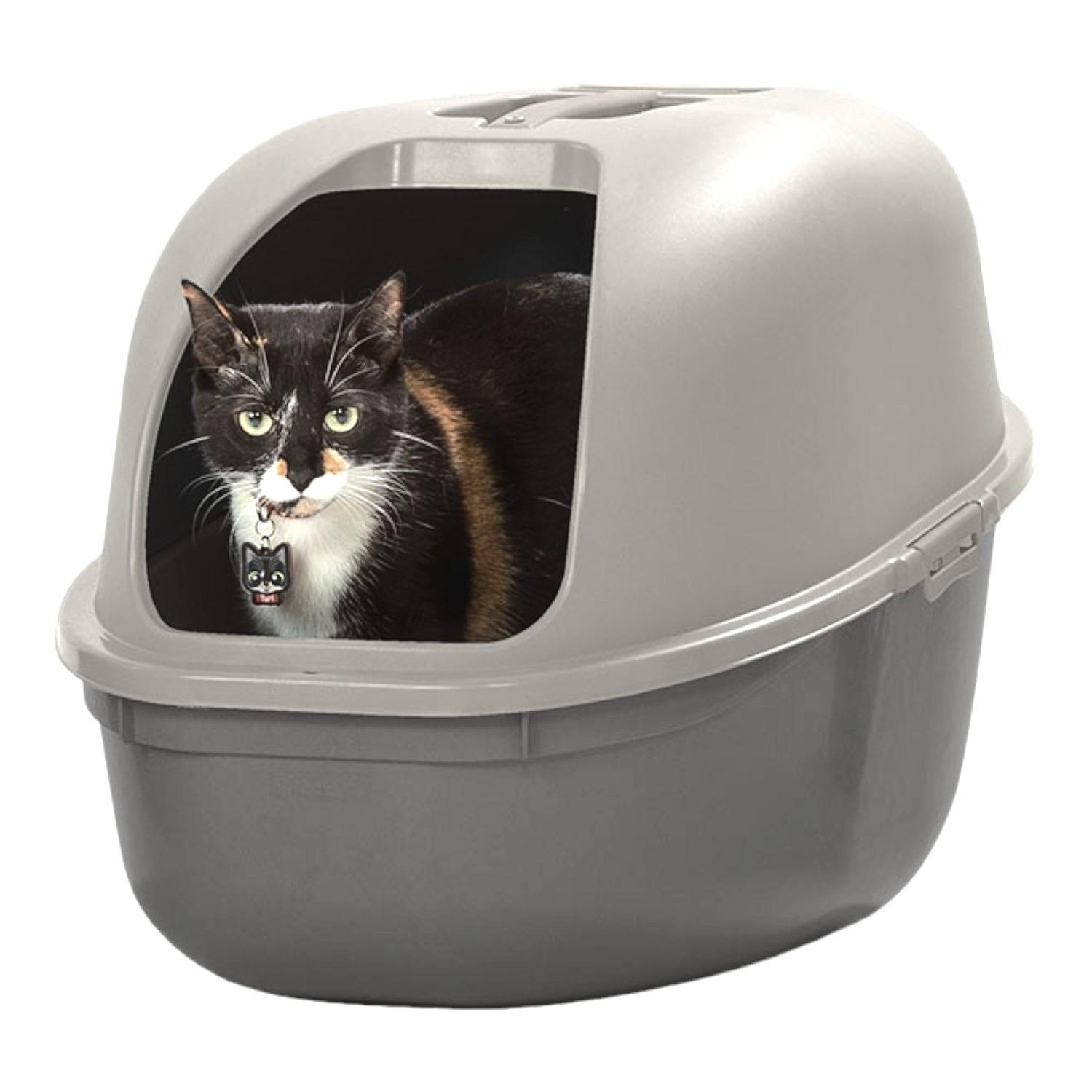 Arenero Cubierto Arenero Curver Para Gatos Curve Bandeja Sanitaria