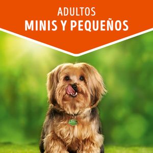 Alimento Perro Dog Chow Húmedo Adultos Razas Pequeñas Carne 100 G