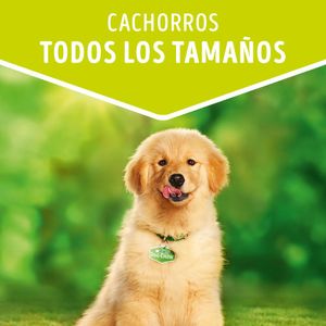 Alimento Perro Dog Chow Húmedo Cachorros Pollo 100 G