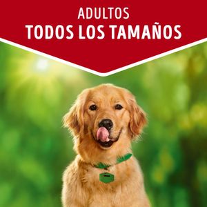 Alimento Perro Dog Chow Adultos Carne 100 G