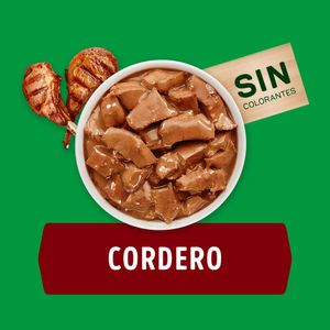 Alimento Perro Dog Chow Húmedo Adultos Cordero 100 G