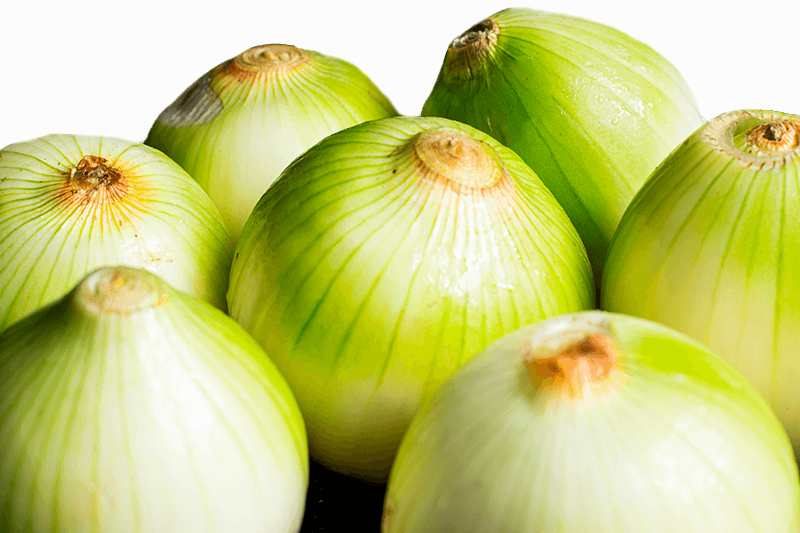 613
