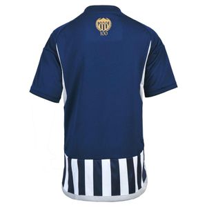 Camiseta Junior Visitante Niño 2024