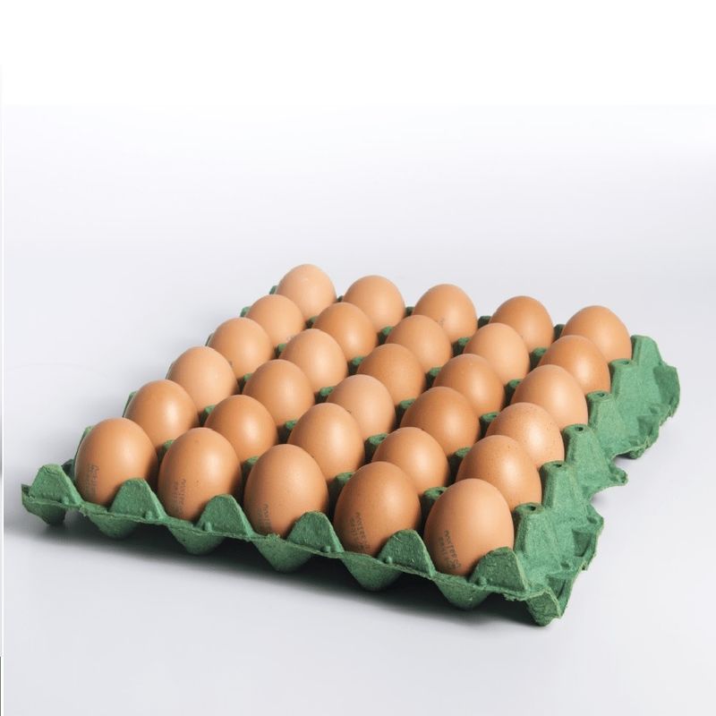 HUEVOS_1