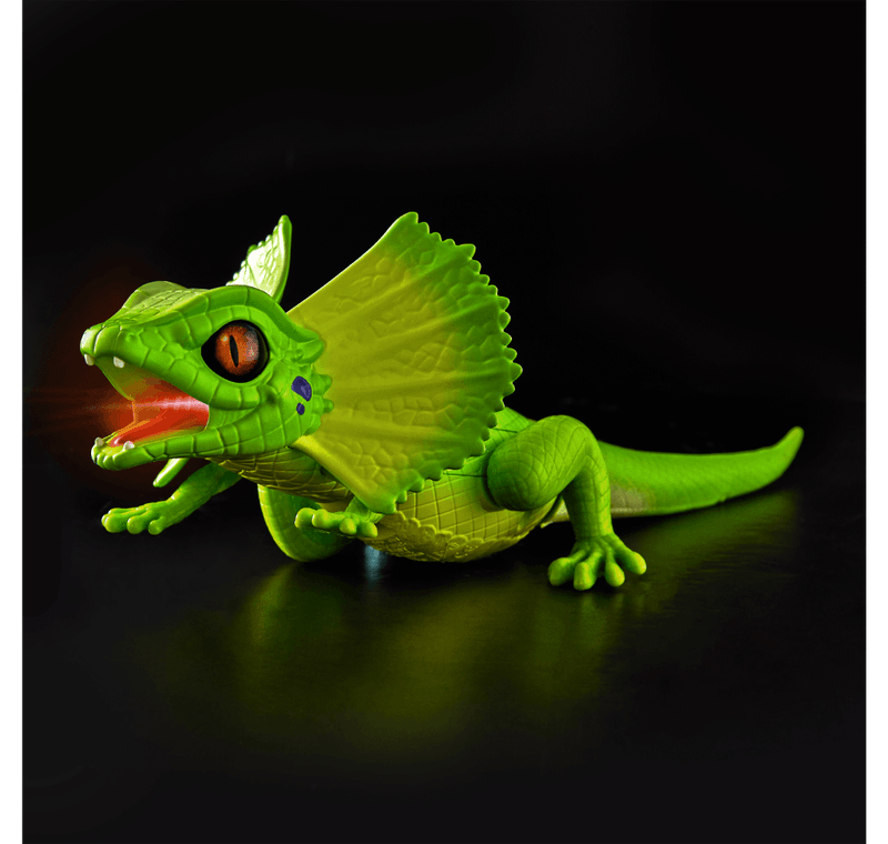 image-bf7a6676801d4f51bfaa170673f218b9