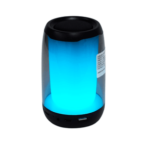 Mini Parlante Recargable 3" GTS-1692 Portatil Con Bluetooth Y FM Color Negro