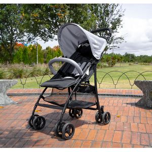 Coche Paseador Basicbliss Gris - BaoBao