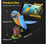 image-fee7919eab9f48969c05e78a988574e1