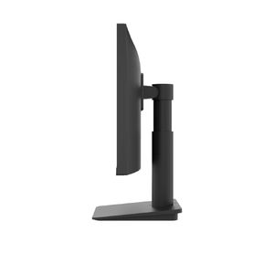 Monitor LG 24 24MS550-B IPS FHD 5ms 100hz
