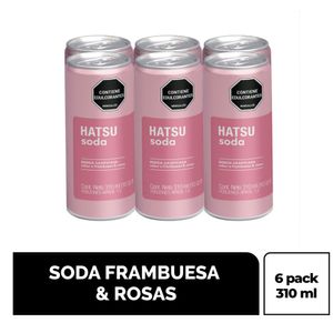 BEBIDA HATSU SODA FRAMBUESA 310ML X6