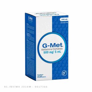 G-Met 500 Mg/5 ML Diabetrics 240 ML