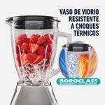 LICUADORA OSTER NIQUELADA 1,5 LT 2 VELOCIDADES 550 W VASO VIDRIO