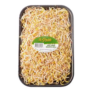 Raíz China La Giralda Empacada 250 G