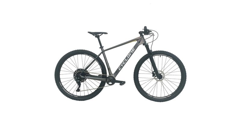 Bicicletas de 29 pulgadas best sale de carbono