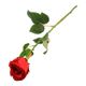 Flor Rosa Concepts Roja