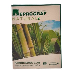 Resma de Papel Reprograf Tamaño Carta EarthPact